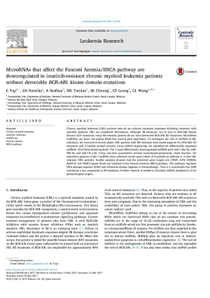 影响 Fanconi 贫血/BRCA 通路的 MicroRNA 在伊马替尼耐药的慢性粒细胞白血病患者中下调，且未检测到 BCR-ABL 激酶结构域突变